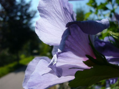 04.08.207.1.JPG