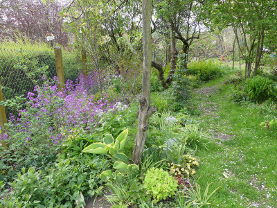 2020-04-25 Garteneinblick 14.jpg