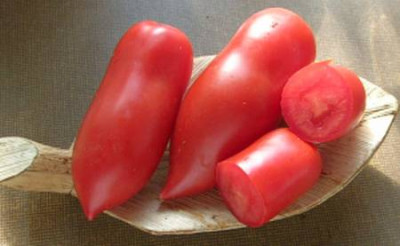 San_Marzano__1.jpg