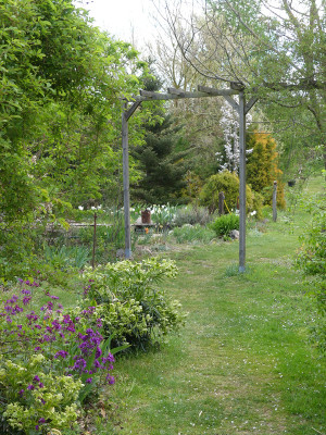2020-04-25 Garteneinblick 1.jpg