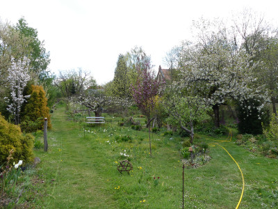 2020-04-25 Garteneinblick 3.jpg