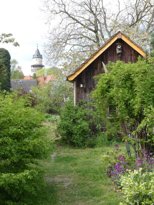 2020-04-25 Garteneinblick 6.jpg
