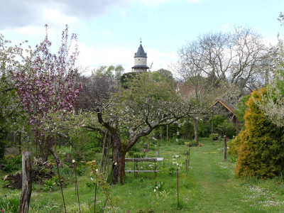 2020-04-25 Garteneinblick 8.jpg
