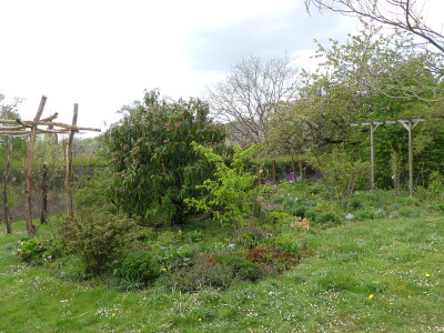 2020-04-25 Garteneinblick 10.jpg