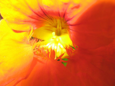 farbe-bekennen.jpg