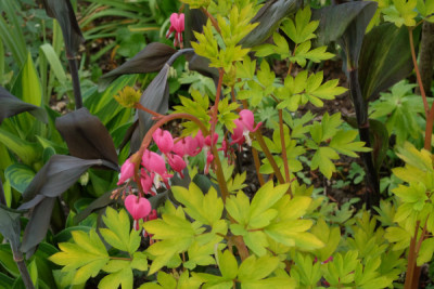 DSCF2107_4722.JPG