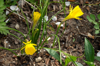 DSCF2117_4724.JPG