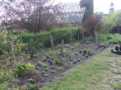 2020-04-26 Garteneinblick 1.jpg