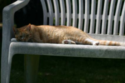 Ron_8902.jpg