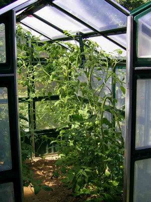 2007-08-06-garten1.jpg