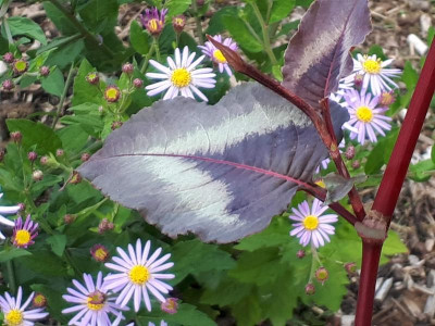 20180924_161840.jpg