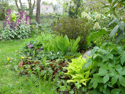 2020-04-29 Garteneinblick 1.jpg
