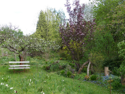 2020-04-29 Garteneinblick 3.jpg