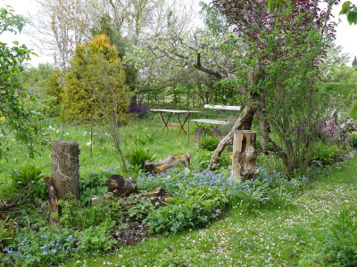 2020-04-29 Garteneinblick 5.jpg