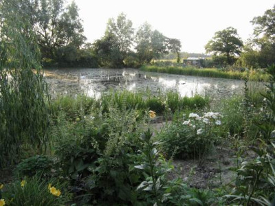 GroenanderungIMG_2439.JPG