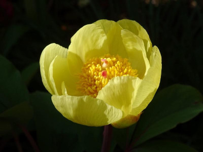 DSC09652-1.JPG