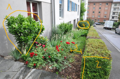 Gemischtwarenladen2a.jpg