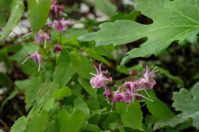 DSCF2149_4733.JPG