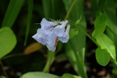 DSCF2154_4735.JPG