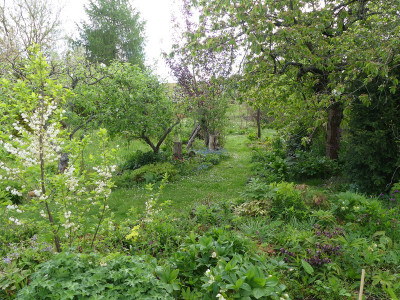 2020-05-01 Garteneinblick 1.jpg