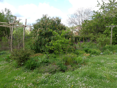 2020-05-01 Garteneinblick 3.jpg