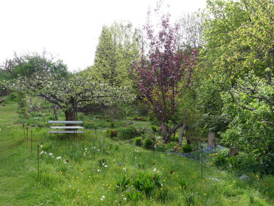 2020-05-01 Garteneinblick 4.jpg