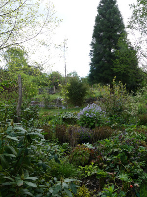 2020-05-01 Garteneinblick 7.jpg