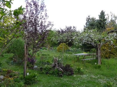 2020-05-01 Garteneinblick 8.jpg