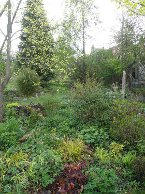 2020-05-01 Garteneinblick 9.jpg