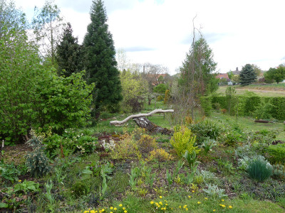 2020-05-01 Garteneinblick 13.jpg
