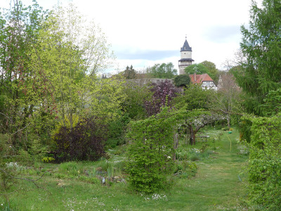 2020-05-01 Garteneinblick 15.jpg