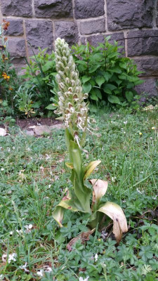 20200502_081652.jpg