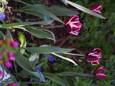 P1010017.JPG