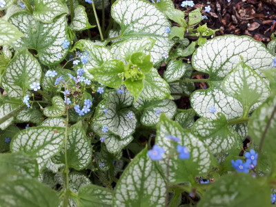 20190425_104136.jpg