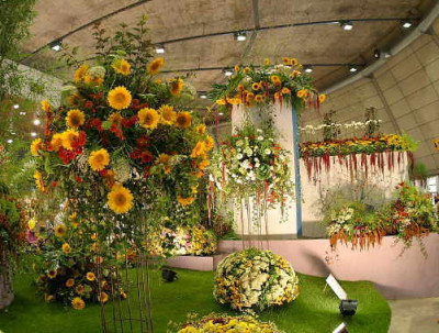 6755_Tullner_Messe_08-04.JPG