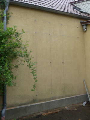 2020-05-02 Seilsystem 6.jpg