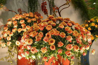 6752_Tullner_Messe_08-04.JPG