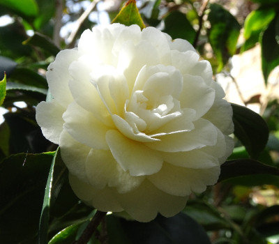 DSC07312.jpg