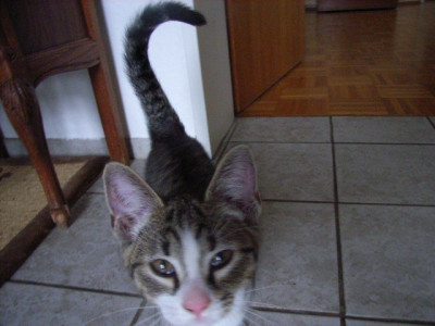 pemmi1_030.jpg