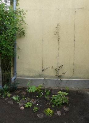 2020-05-03 Seilsystem 2.jpg