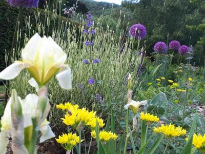 20190608_180342.jpg