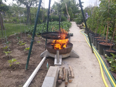 Grillgemüse.jpg