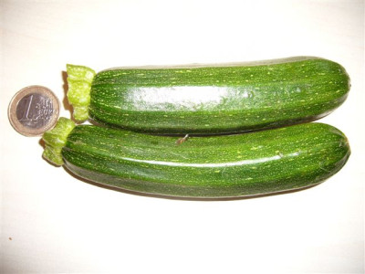 08.08.2007.3.JPG