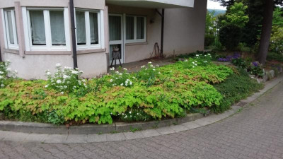 20200505_091548.jpg