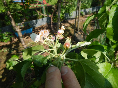 DSCN9545.JPG