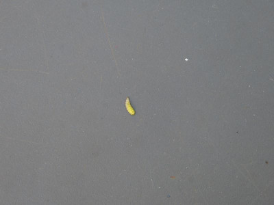 P1070224.JPG