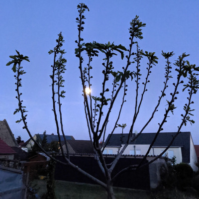 2020-05-06_21-29-34.jpg