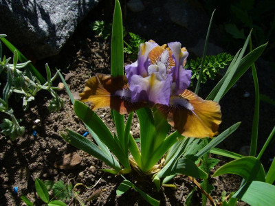 P1040659.JPG