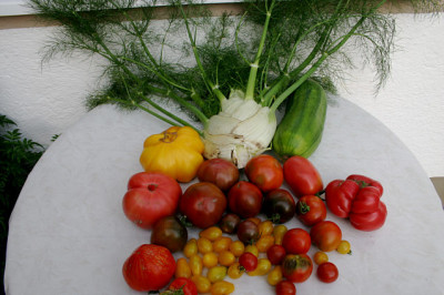 IMG0_5565.jpg