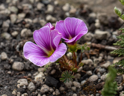 20200508_2.jpg